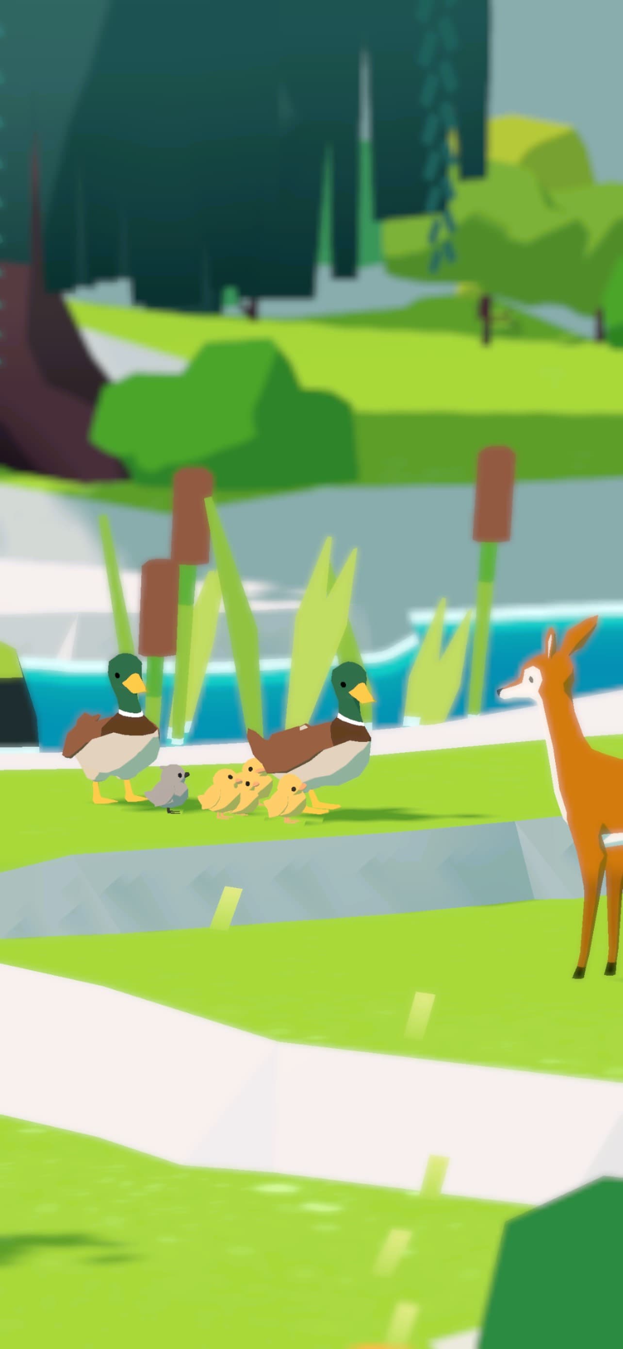 Forest Island screenshot 3 - screenshot