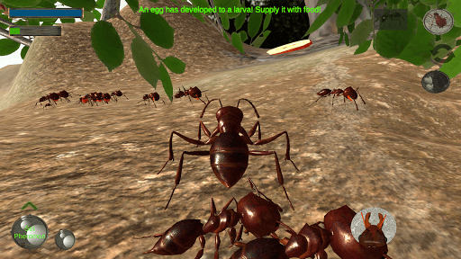 Ant Simulation 3D screenshot 2 - screenshot