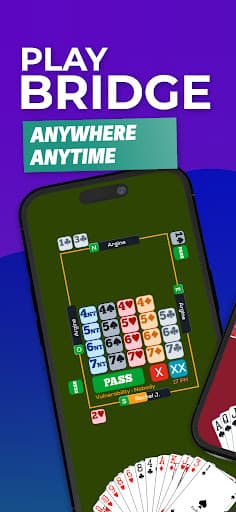 Fun Bridge screenshot 1 - screenshot