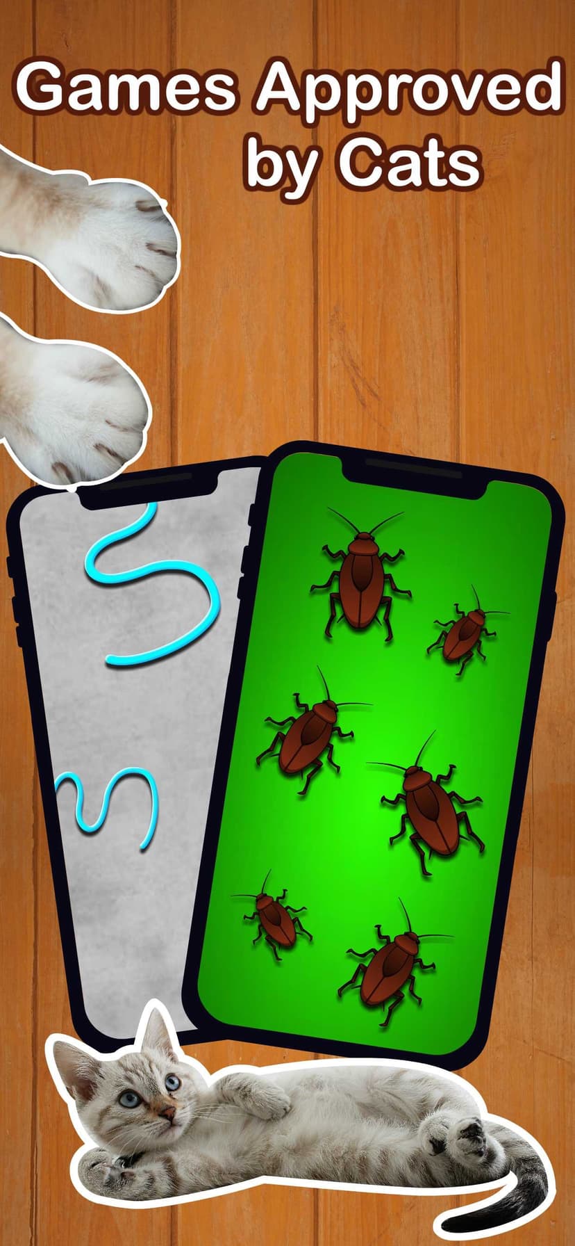 Cat Games for Cats: Bug Smash screenshot 3 - screenshot