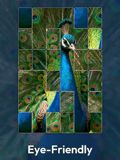 Jigmatch - Zen Puzzle screenshot 15 - screenshot