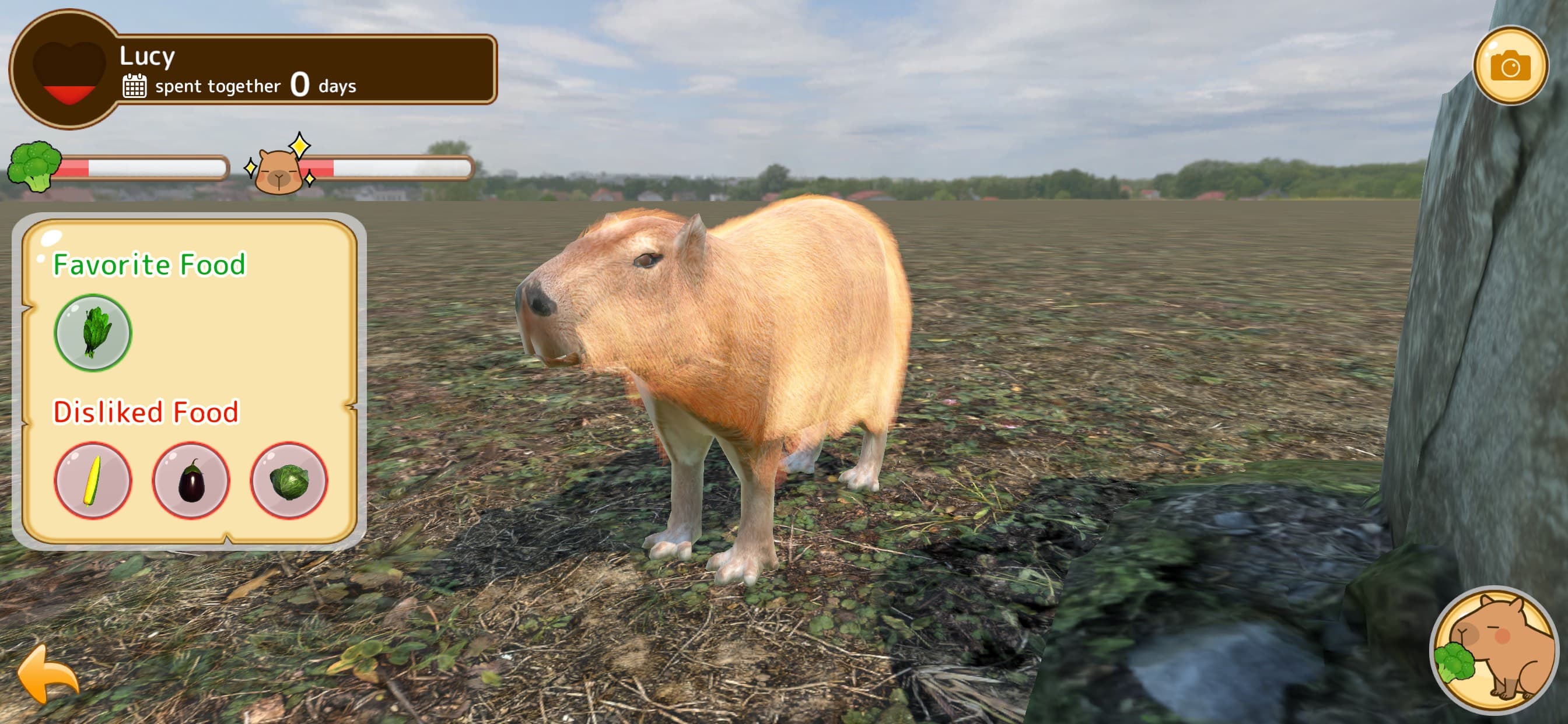 Capybara Spa screenshot 3 - screenshot
