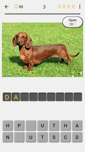 Dogs Quiz - Guess All Breeds! screenshot 2 - screenshot