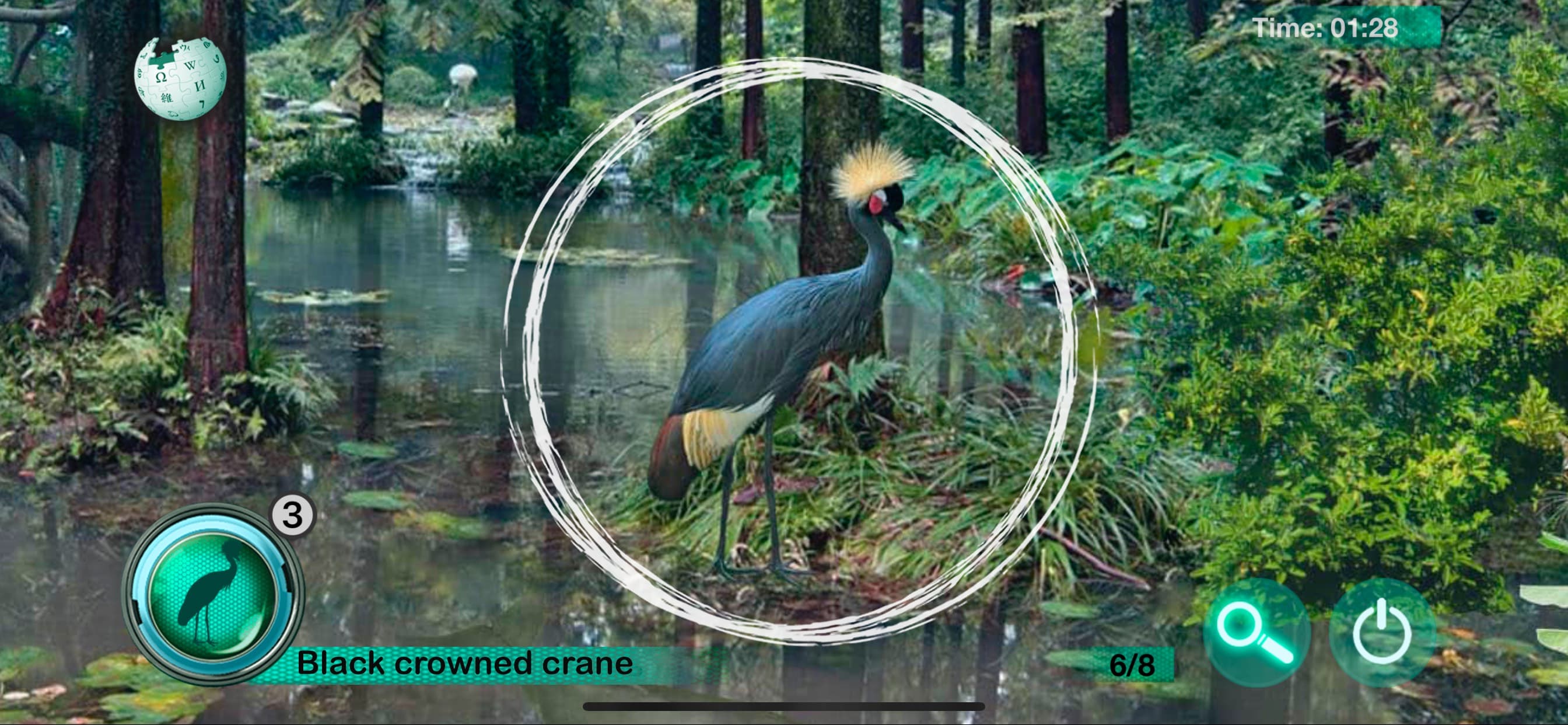 Hidden Animals: Seek and Find screenshot 3 - screenshot