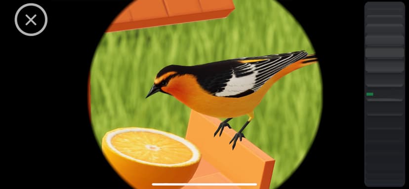 World of Wings screenshot 9 - screenshot