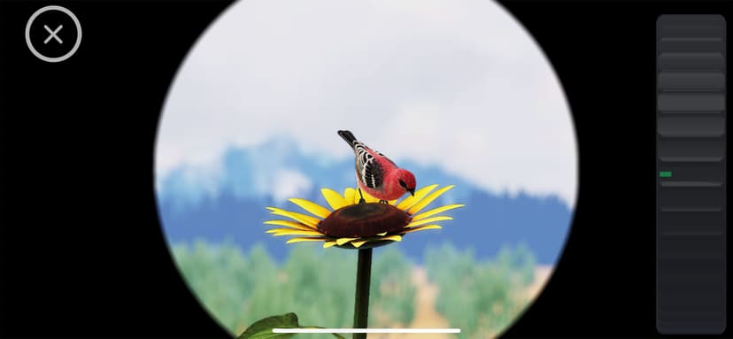 World of Wings screenshot 6 - screenshot