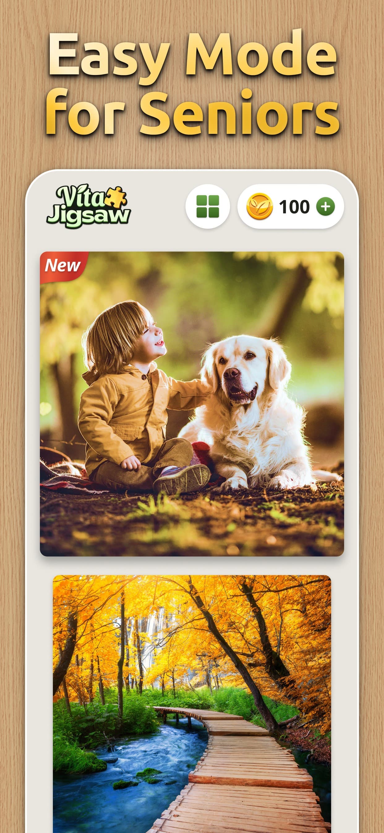 Vita Jigsaw for Seniors screenshot 7 - screenshot