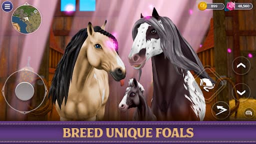 Star Equestrian - Horse Ranch screenshot 9 - screenshot