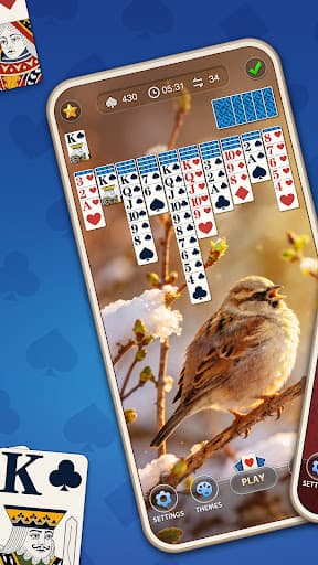 Daily Spider Solitaire Classic screenshot 8 - screenshot