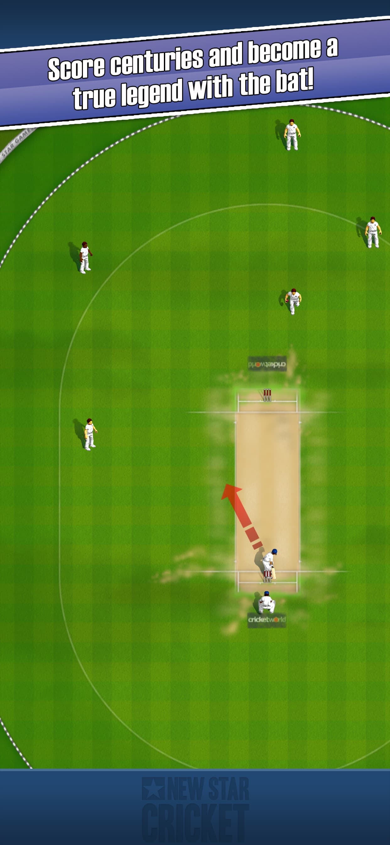 New Star Cricket screenshot 2 - screenshot