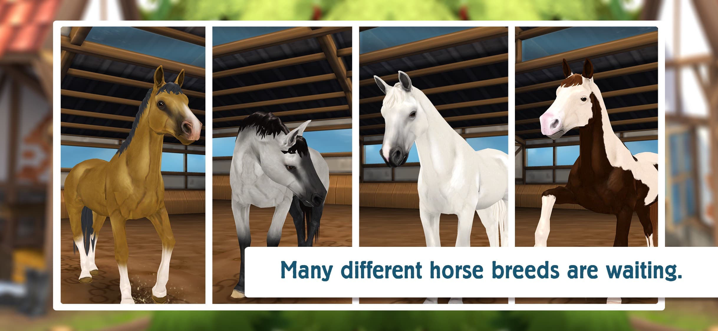 Horse Hotel - care for horses screenshot 6 - screenshot
