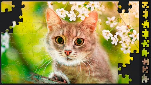 Jigsaw Puzzles for Adults screenshot 12 - screenshot