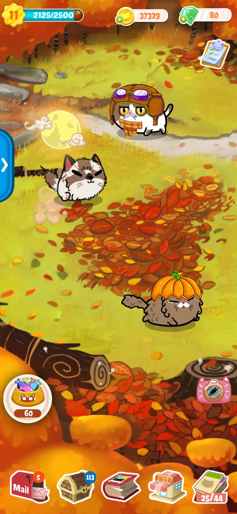 Fancy Cats - Kitten Care Game screenshot 2 - screenshot