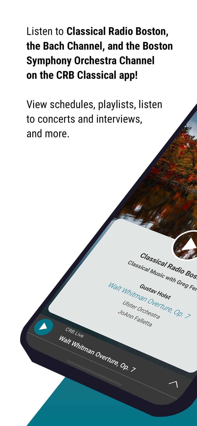 CRB Classical screenshot 1 - screenshot