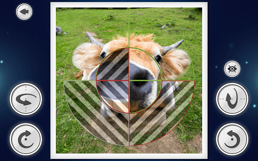 IMAGEine Premium screenshot 11 - screenshot