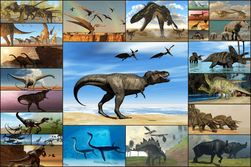 Dinosaurs Jigsaw Puzzles Game screenshot 11 - screenshot