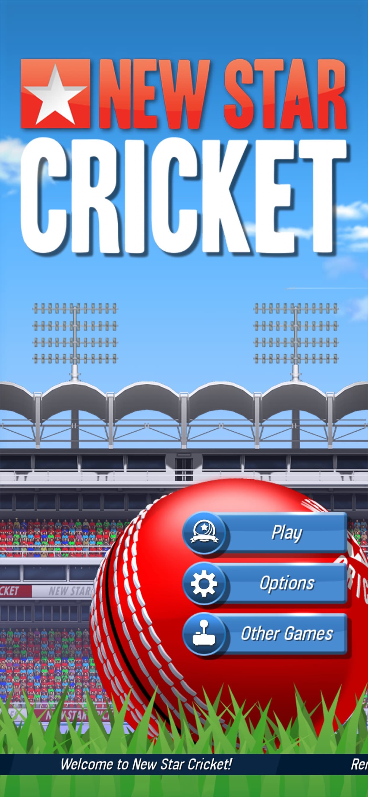 New Star Cricket screenshot 1 - screenshot