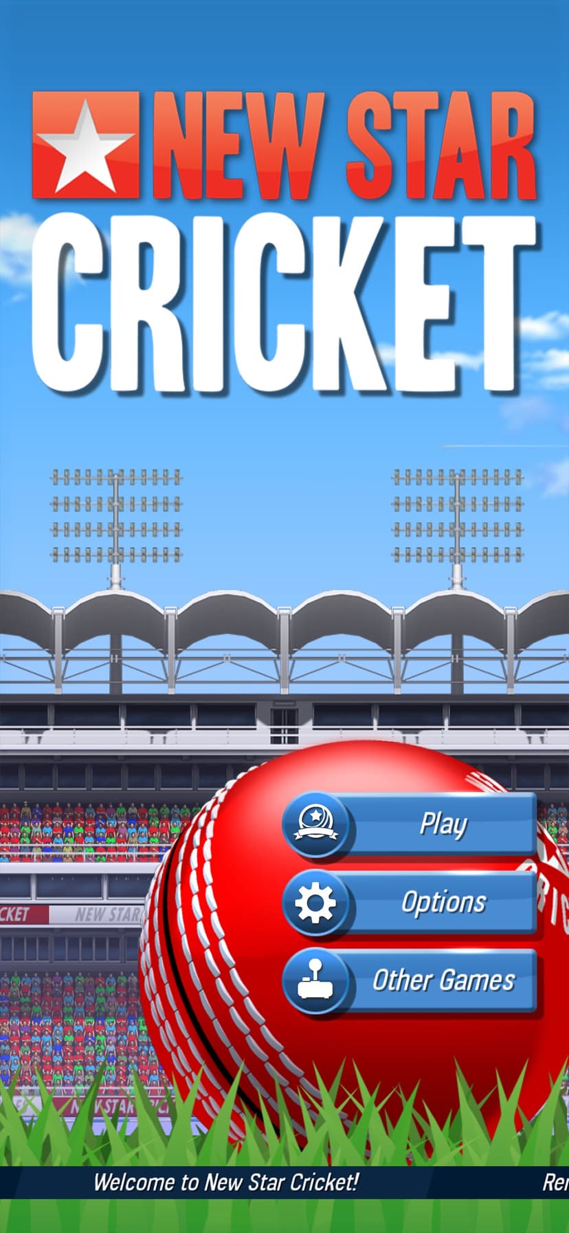 New Star Cricket screenshot 1 - screenshot