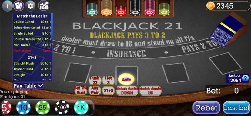 Blackjack 21 Collection screenshot 1 - screenshot
