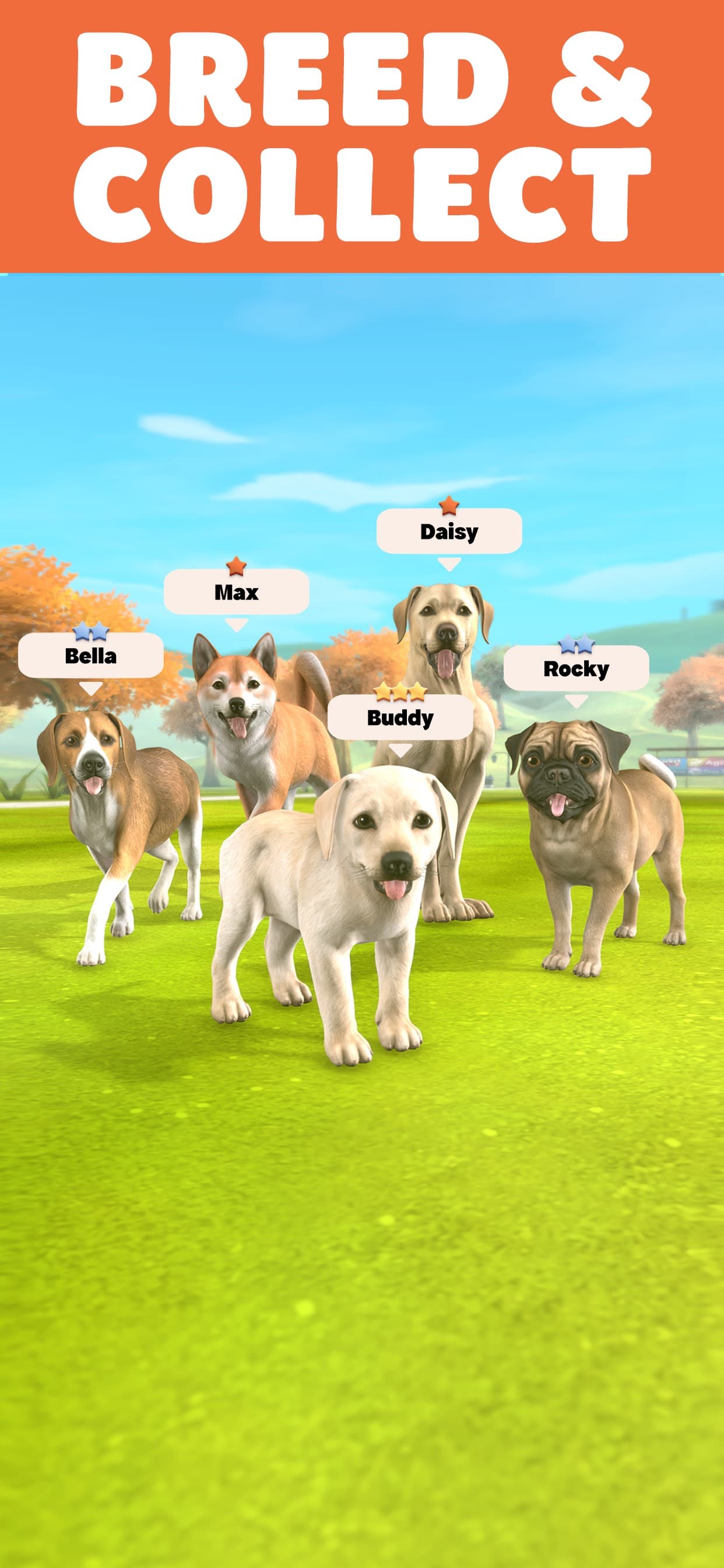 Pocket Paws: My lovely dogs screenshot 1 - screenshot