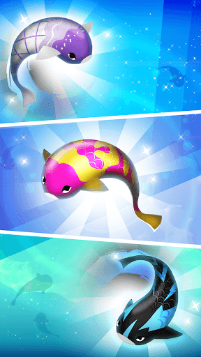 Zen Koi Pro screenshot 2 - screenshot
