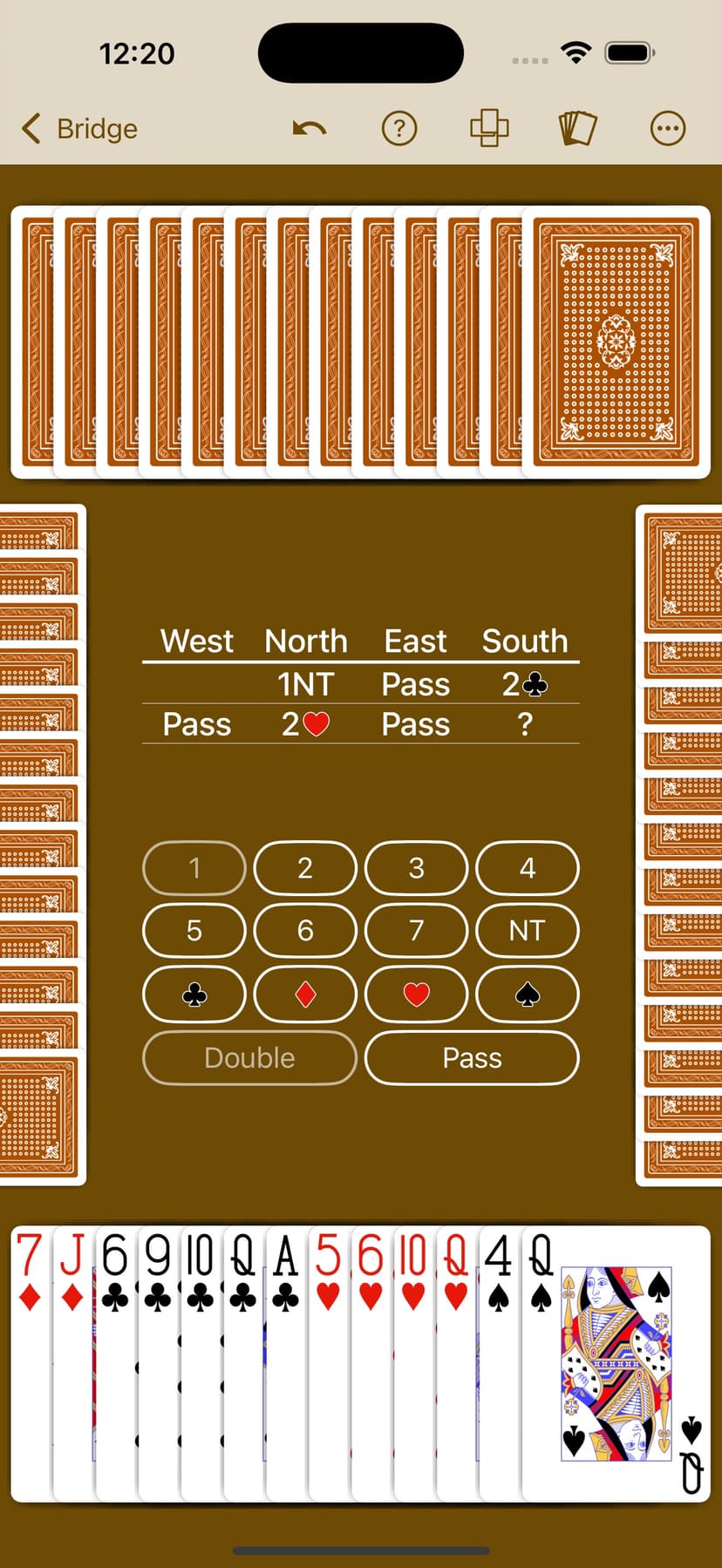 Bridge by NeuralPlay screenshot 9 - screenshot