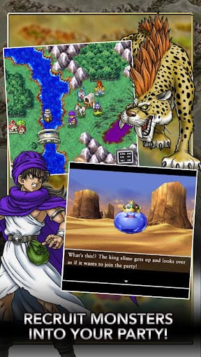 DRAGON QUEST V screenshot 4 - screenshot