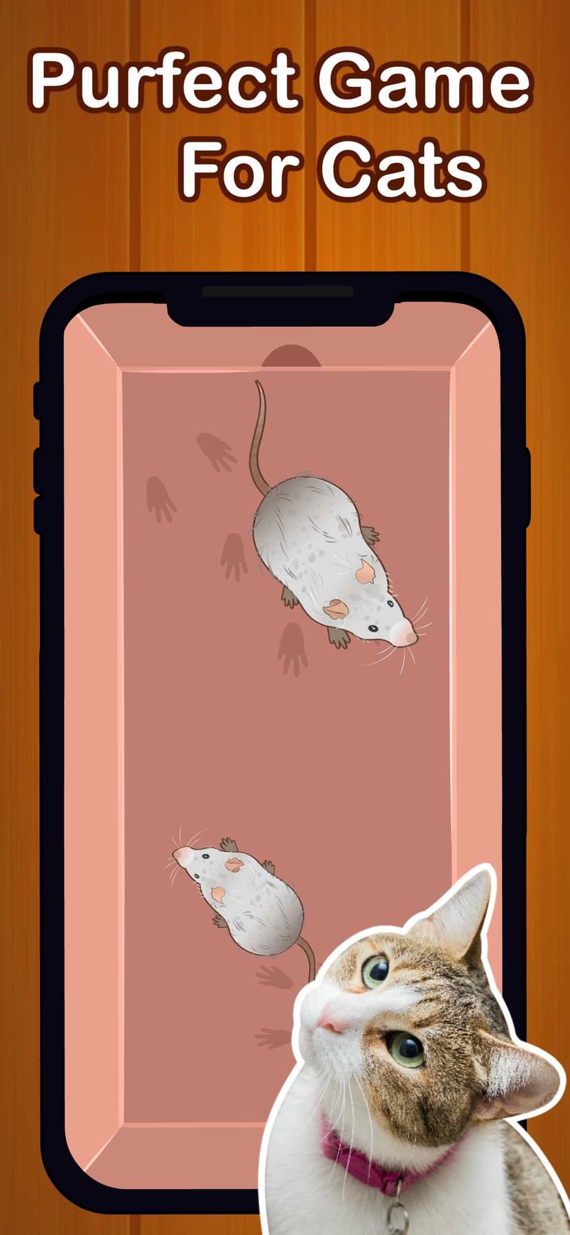 Cat Games for Cats: Bug Smash screenshot 1 - screenshot