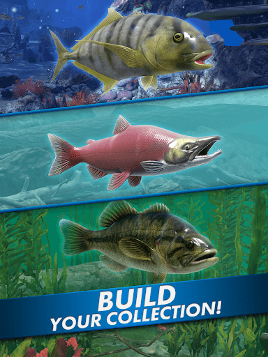 Fishing Blitz! screenshot 13 - screenshot