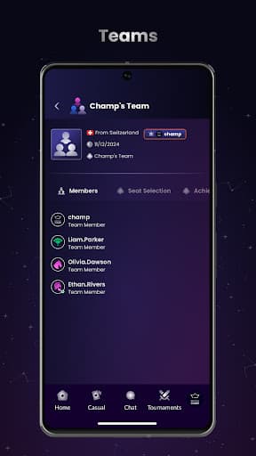 Bridge Champ screenshot 5 - screenshot