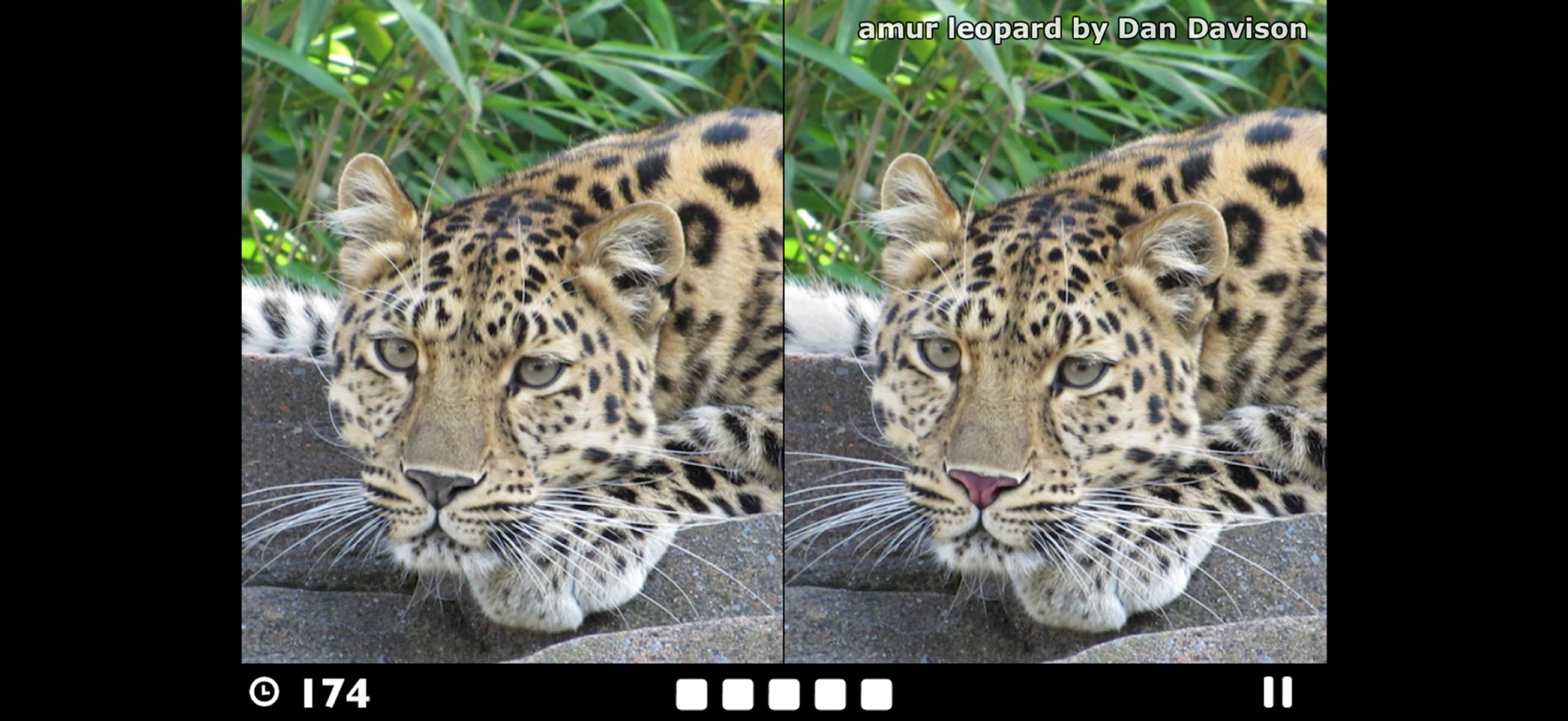 Find the Difference! screenshot 1 - screenshot