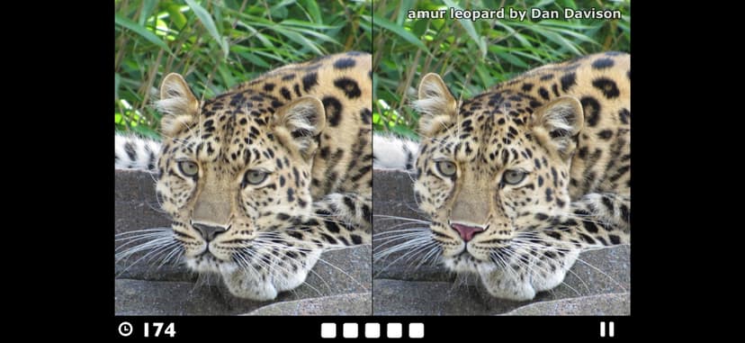 Find the Difference! screenshot 1 - screenshot