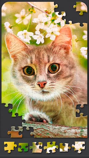 Jigsaw Puzzles for Adults screenshot 5 - screenshot