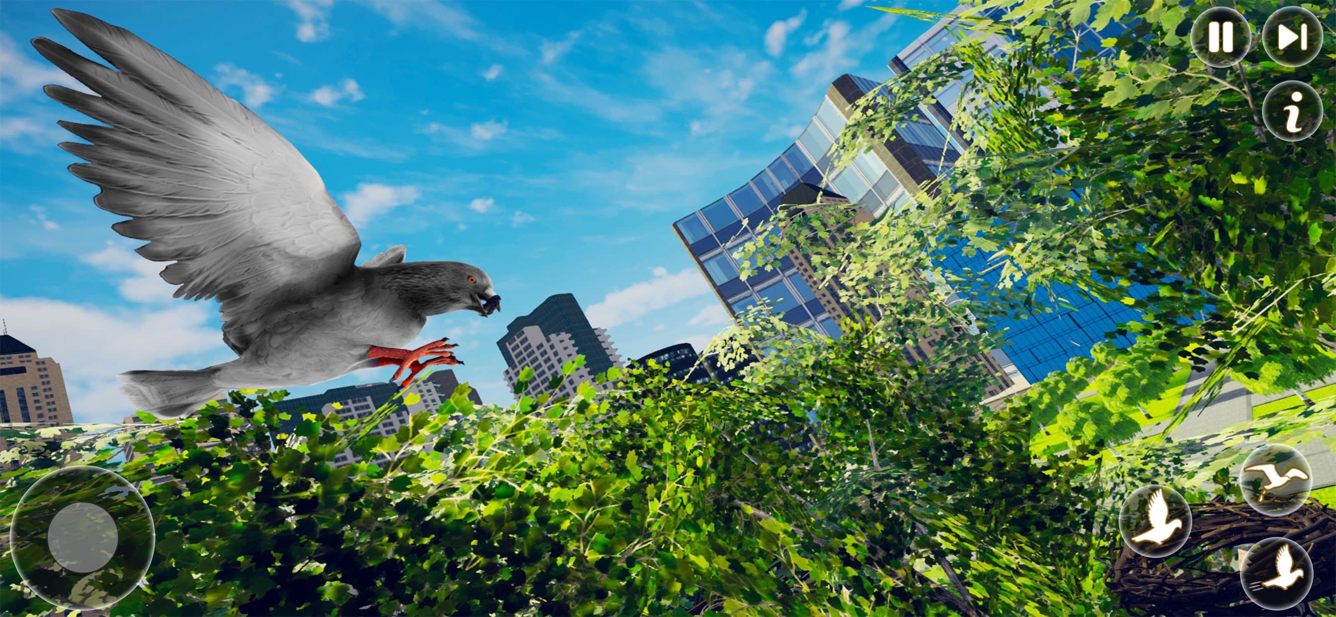 Pigeon Bird Flying Simulator screenshot 5 - screenshot