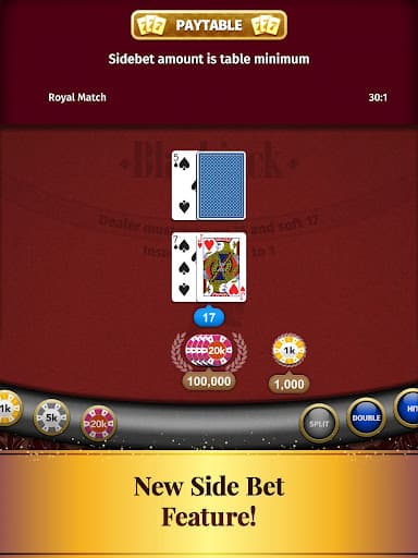 Blackjack Card Game screenshot 13 - screenshot