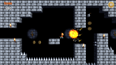 Bomber Cat Run screenshot 5 - screenshot