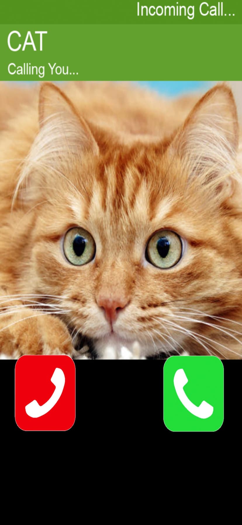 Call Cat 2 screenshot 1 - screenshot