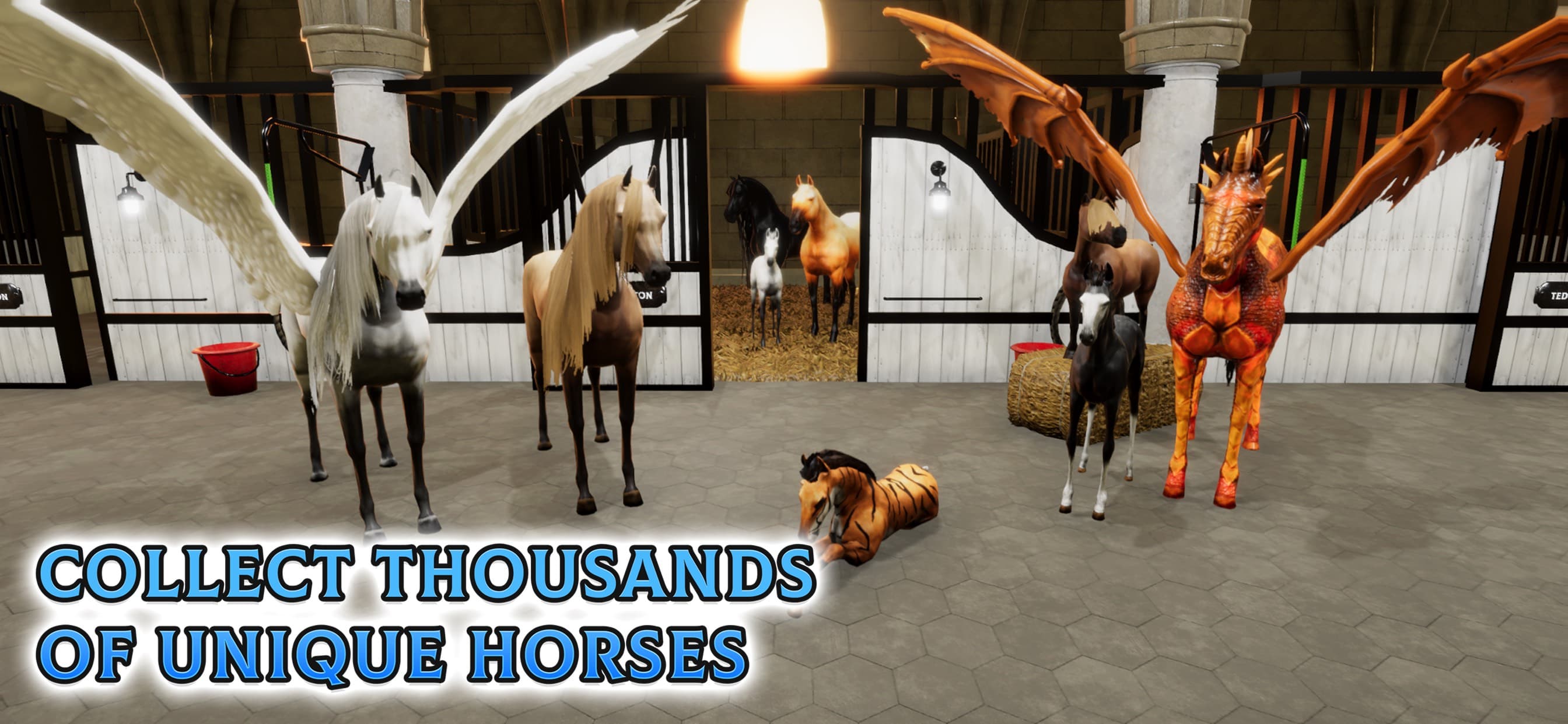 Horse Academy: Ride & Compete screenshot 5 - screenshot