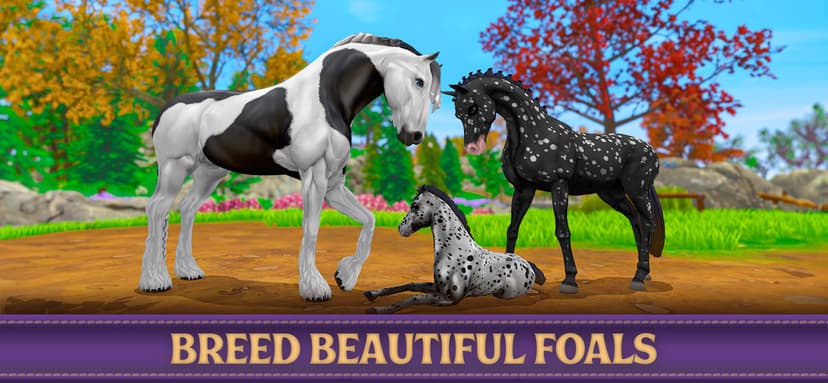 Star Equestrian - Horse Ranch screenshot 1 - screenshot