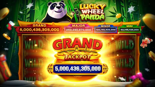 Double Win Slots- Vegas Casino screenshot 4 - screenshot
