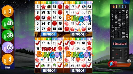 Absolute Bingo screenshot 2 - screenshot