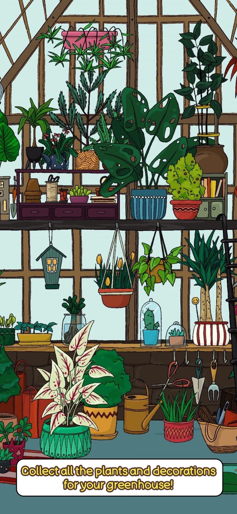 Home Garden Lulu & Terrarium screenshot 3 - screenshot
