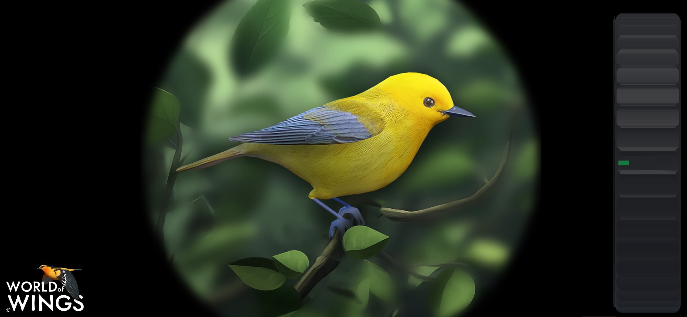World of Wings screenshot 2 - screenshot