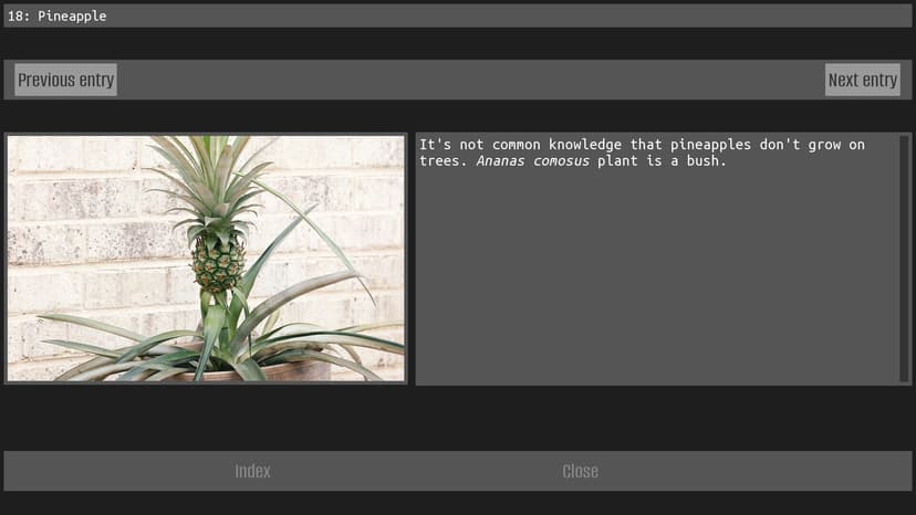 Null - screenshot