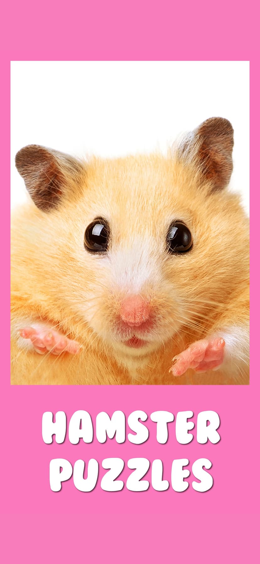 Hamster Jigsaw Puzzle Games screenshot 1 - screenshot