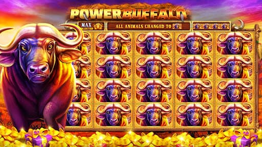 Cash Fanatic - slots casino screenshot 2 - screenshot
