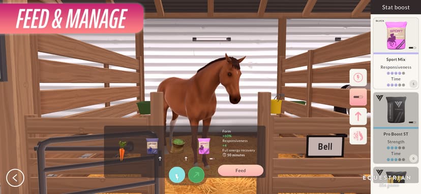 Equestrian the Game screenshot 4 - screenshot