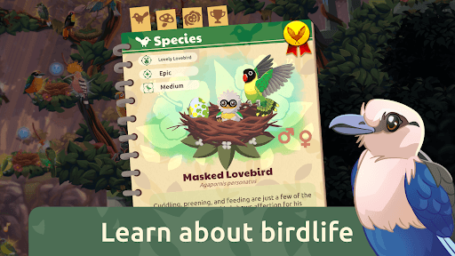 Bird Kind screenshot 6 - screenshot