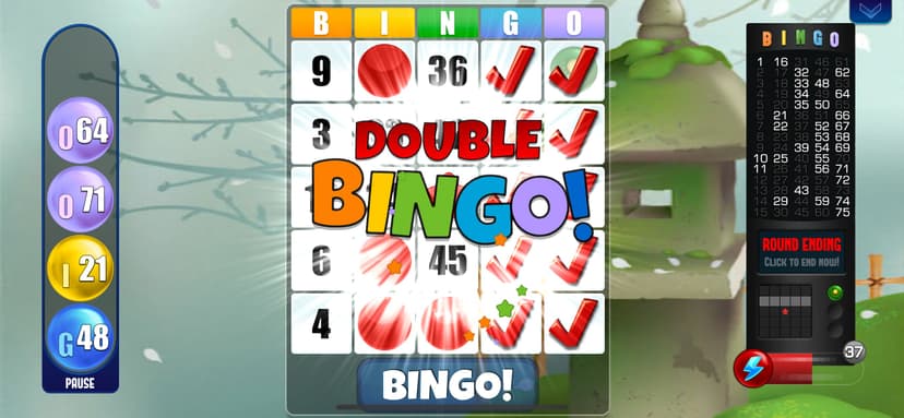 Absolute Bingo! Play Fun Games screenshot 6 - screenshot
