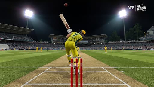 Real T20 Cricket: Worldcup 26 screenshot 5 - screenshot